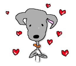 I'm an Italian Greyhound My name is QOO! sticker #1624918