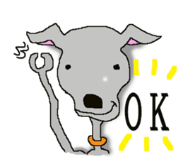 I'm an Italian Greyhound My name is QOO! sticker #1624920