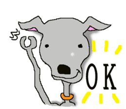 I'm an Italian Greyhound My name is QOO! sticker #1624920