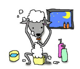 I'm an Italian Greyhound My name is QOO! sticker #1624922