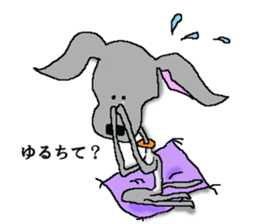 I'm an Italian Greyhound My name is QOO! sticker #1624927