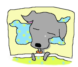 I'm an Italian Greyhound My name is QOO! sticker #1624928