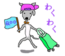 I'm an Italian Greyhound My name is QOO! sticker #1624929