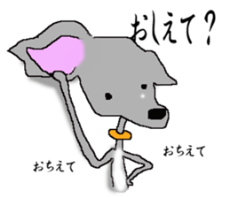 I'm an Italian Greyhound My name is QOO! sticker #1624934