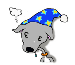 I'm an Italian Greyhound My name is QOO! sticker #1624942