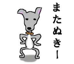 I'm an Italian Greyhound My name is QOO! sticker #1624944