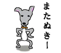 I'm an Italian Greyhound My name is QOO! sticker #1624944