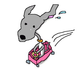 I'm an Italian Greyhound My name is QOO! sticker #1624951