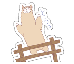ALPACA!sign sticker #1625044