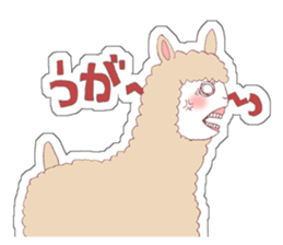 ALPACA!sign sticker #1625046