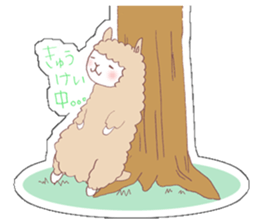 ALPACA!sign sticker #1625052