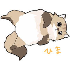 Fluffy Kawaii Cat MIYABI