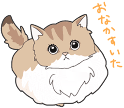 Fluffy Kawaii Cat MIYABI sticker #1625313