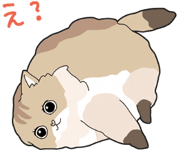 Fluffy Kawaii Cat MIYABI sticker #1625314