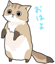 Fluffy Kawaii Cat MIYABI sticker #1625315