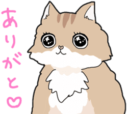 Fluffy Kawaii Cat MIYABI sticker #1625316