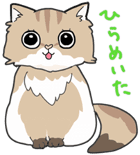 Fluffy Kawaii Cat MIYABI sticker #1625319