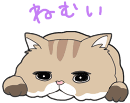 Fluffy Kawaii Cat MIYABI sticker #1625320