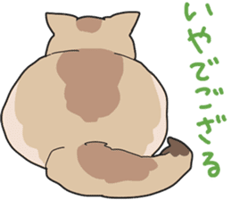 Fluffy Kawaii Cat MIYABI sticker #1625324