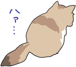 Fluffy Kawaii Cat MIYABI sticker #1625325