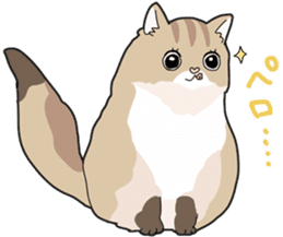 Fluffy Kawaii Cat MIYABI sticker #1625326