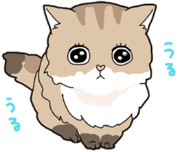 Fluffy Kawaii Cat MIYABI sticker #1625328