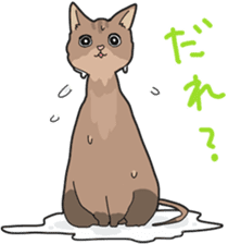 Fluffy Kawaii Cat MIYABI sticker #1625329