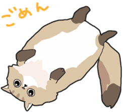Fluffy Kawaii Cat MIYABI sticker #1625330