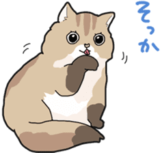 Fluffy Kawaii Cat MIYABI sticker #1625332