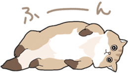 Fluffy Kawaii Cat MIYABI sticker #1625333