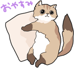 Fluffy Kawaii Cat MIYABI sticker #1625335