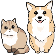 Fluffy Kawaii Cat MIYABI sticker #1625336