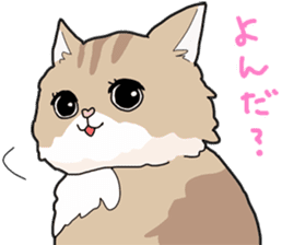 Fluffy Kawaii Cat MIYABI sticker #1625338