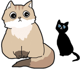 Fluffy Kawaii Cat MIYABI sticker #1625340