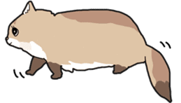 Fluffy Kawaii Cat MIYABI sticker #1625343