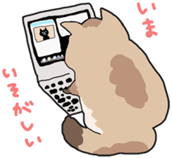 Fluffy Kawaii Cat MIYABI sticker #1625346