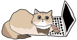 Fluffy Kawaii Cat MIYABI sticker #1625347