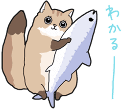 Fluffy Kawaii Cat MIYABI sticker #1625348