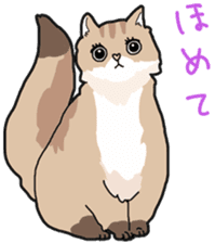 Fluffy Kawaii Cat MIYABI sticker #1625349