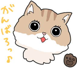 Fluffy Kawaii Cat MIYABI sticker #1625350