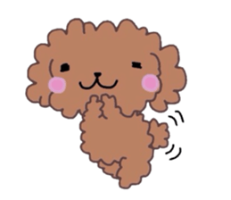 Poodle of various expressions sticker #1630633