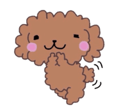 Poodle of various expressions sticker #1630633