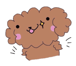 Poodle of various expressions sticker #1630635