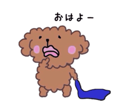 Poodle of various expressions sticker #1630642