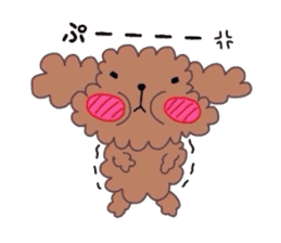 Poodle of various expressions sticker #1630645