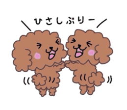 Poodle of various expressions sticker #1630649