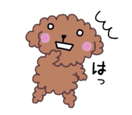 Poodle of various expressions sticker #1630651