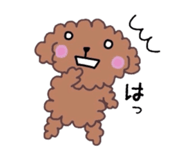 Poodle of various expressions sticker #1630651