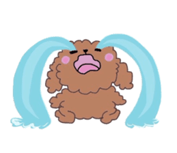 Poodle of various expressions sticker #1630653