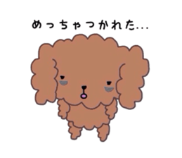 Poodle of various expressions sticker #1630665
